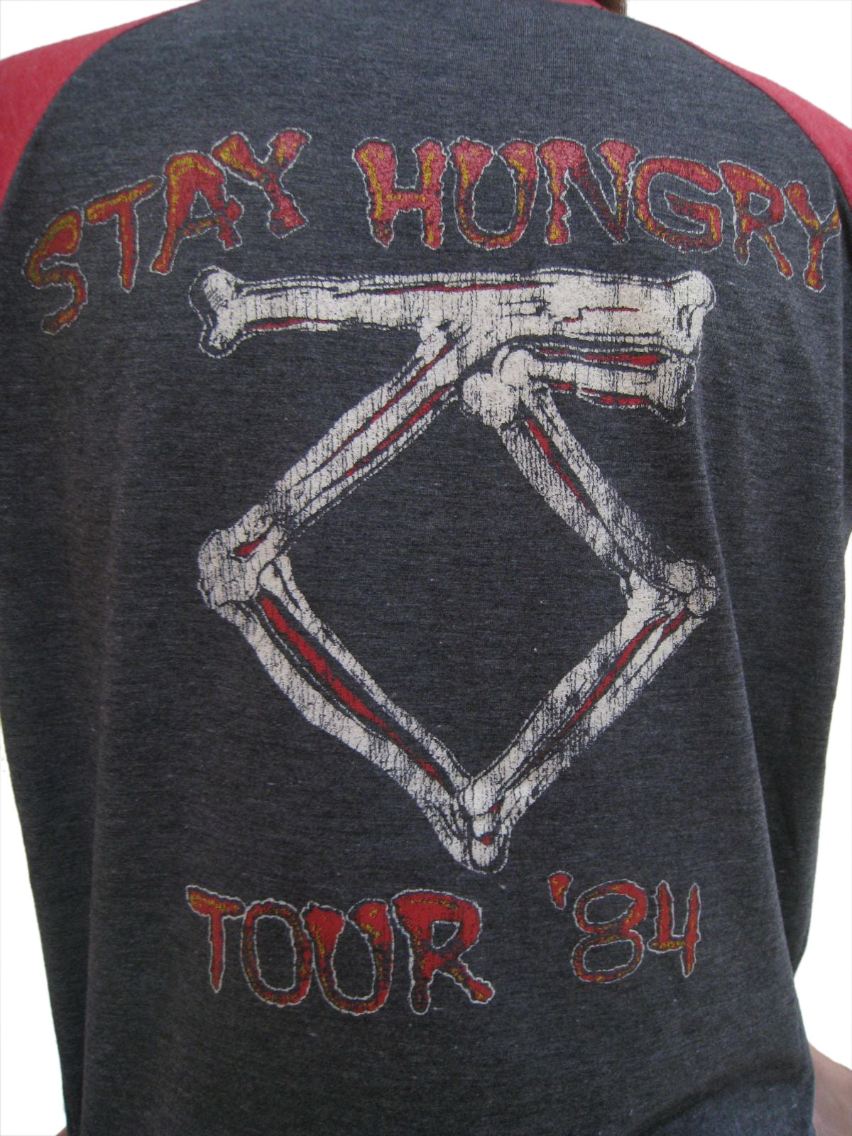 Twisted Sister Stay Hungry Womens Raglan T-Shirt